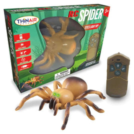 RC Spider Brown - ToyTime