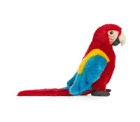Red Macaw - ToyTime
