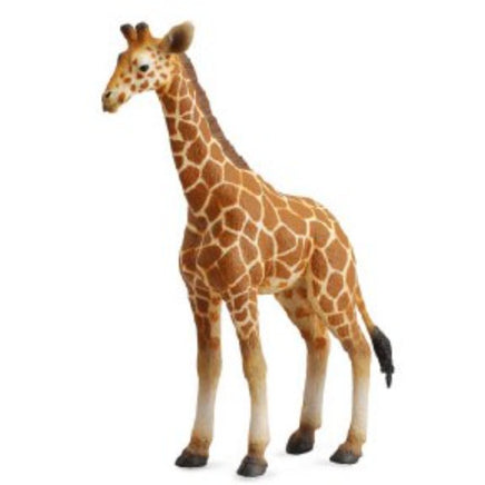 Reticulated Giraffe Calf...@Breyer - ToyTime