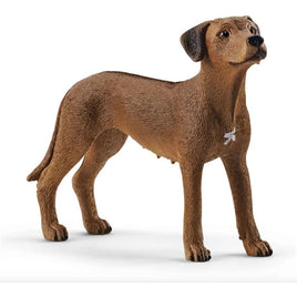 Rhodesian Ridgeback 13895...@Schleich - ToyTime