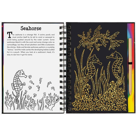 Scratch & sketch coral reefs - ToyTime