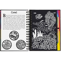 Scratch & sketch coral reefs - ToyTime