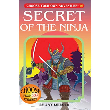 Secret of the ninja choose your own adventure - ToyTime