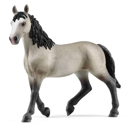 Selle Français Mare 13955 - ToyTime