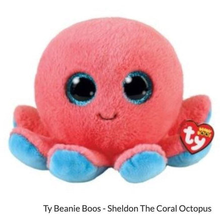 Sheldon Beanie Boo Ty - ToyTime