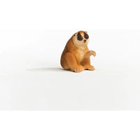 Slow Loris Plumplori...@Schleich - ToyTime