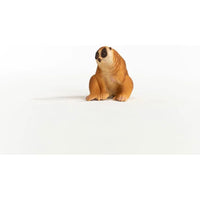 Slow Loris Plumplori...@Schleich - ToyTime