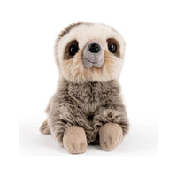 Small Sloth AN655 - ToyTime