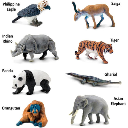 South American Animals Toob…@Safari - ToyTime