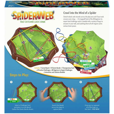 Spiderweb A Bug - Catching Logic Game - ToyTime