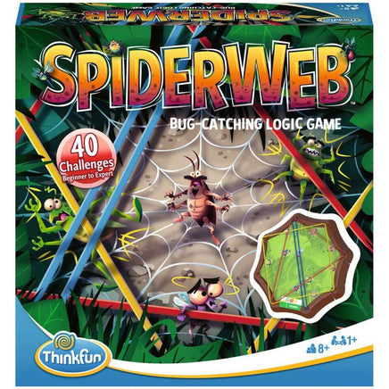 Spiderweb A Bug - Catching Logic Game - ToyTime