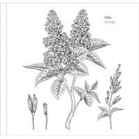 Spring Blooms Artist's Coloring Book - ToyTime