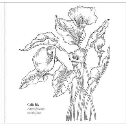 Spring Blooms Artist's Coloring Book - ToyTime