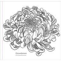 Spring Blooms Artist's Coloring Book - ToyTime