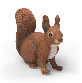 Squirrel 14936 - ToyTime
