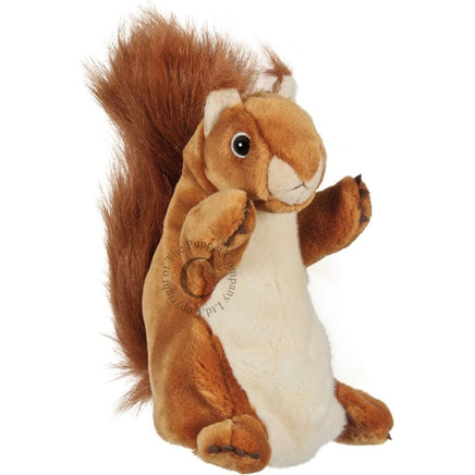 Squirrel - Red - Long - Sleeved Puppet - ToyTime