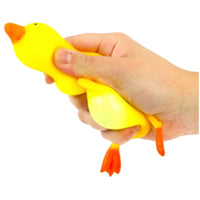 Stretchy Duck - ToyTime