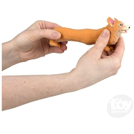 STRETCHY SQUISH CORGI - ToyTime