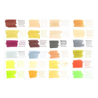 Studio Series Dual - Tip Skin Tone Markers (Set of 24) - ToyTime