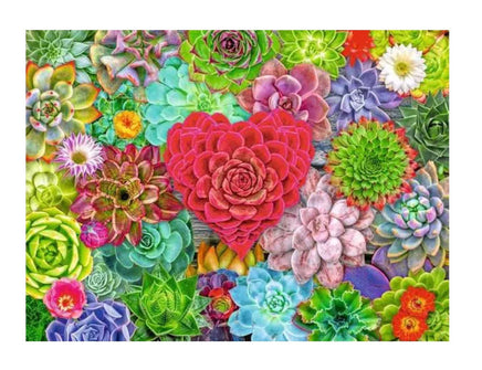 Succulent Love 500Pcs Puzzle - ToyTime