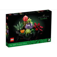 Succulents 10309 - ToyTime