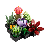 Succulents 10309 - ToyTime