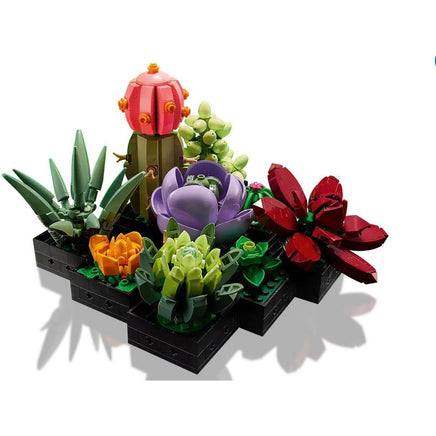 Succulents 10309 - ToyTime