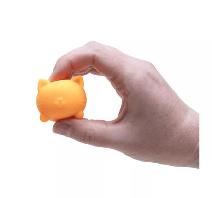 Teenie Cool Cats NeeDoh 4 - Pack - ToyTime