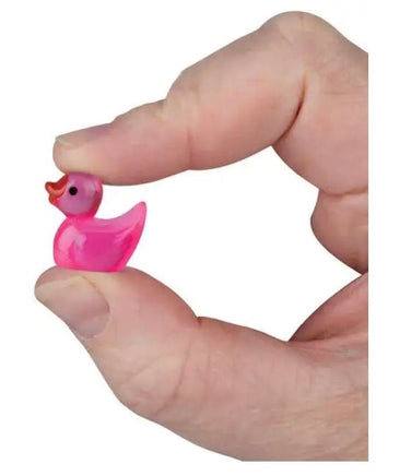 Teenie Tiny Ducks - ToyTime