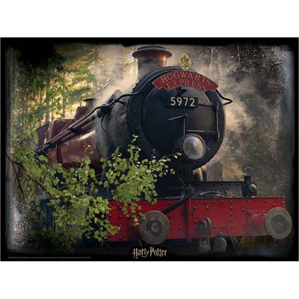 The Hogwarts Express Harry Potter 3D Puzzle 500pc - ToyTime