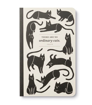 There are no ordinary cats - ToyTime