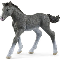 Trakehner Foal 13944...@Schleich - ToyTime