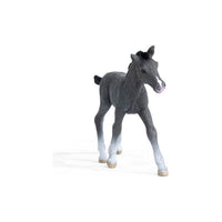 Trakehner Foal 13944...@Schleich - ToyTime