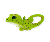 Tropical WildLights Green Lizard - ToyTime