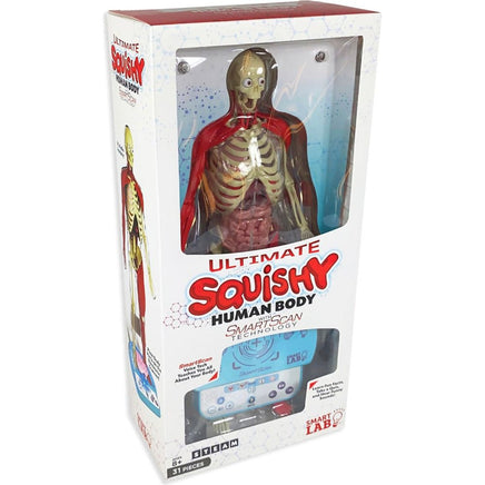 Ultimate Squishy Human Body - ToyTime