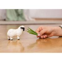 Valais black nosed sheep 13965 - ToyTime