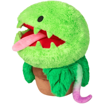 Venus Fly Trap...@SQUISHABLES - ToyTime