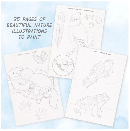 Watercolor Journal Woodland Wildlife Painting Activity Book - ToyTime