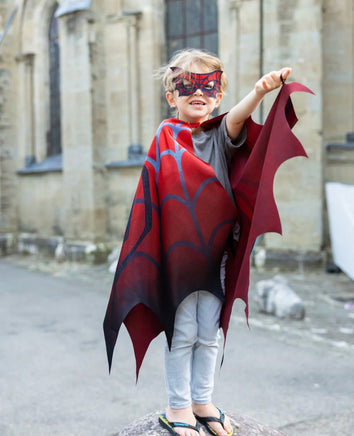 Web Weaver Soft Wings with Mask - ToyTime