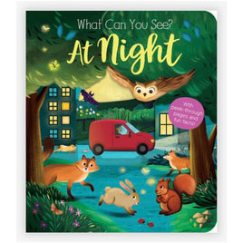 What Can You See? At Night - RH - ToyTime