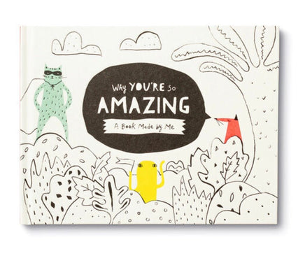Why You're so Amazing - ToyTime