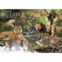 Wild Environmental Science Big Cats - ToyTime