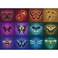 Winged Things 1000pc puzzles - ToyTime