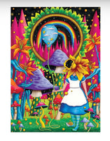 Wonderous Worlds Go Ask Alice 1000pc Puzzle - ToyTime