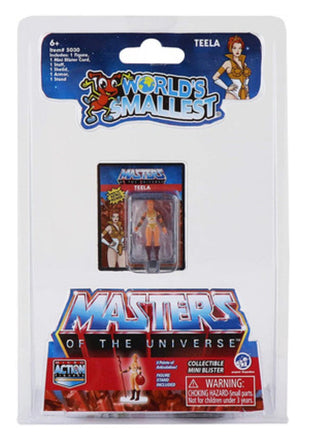 Worlds Smallest Masters of the Universe - ToyTime