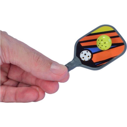 Worlds smallest pickleball - ToyTime