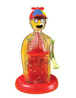 Wow in the World The Amazing Human Body - ToyTime