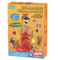 Wow in the World The Amazing Human Body - ToyTime