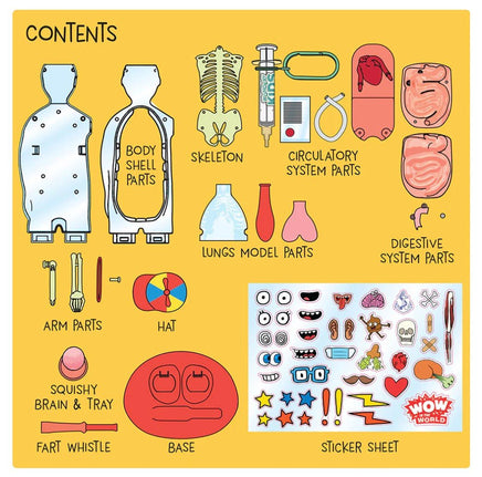 Wow in the World The Amazing Human Body - ToyTime