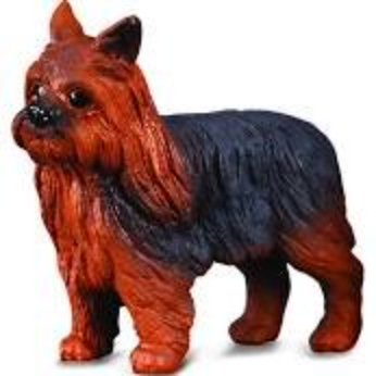 Yorkshire Terrier...@Breyer - ToyTime